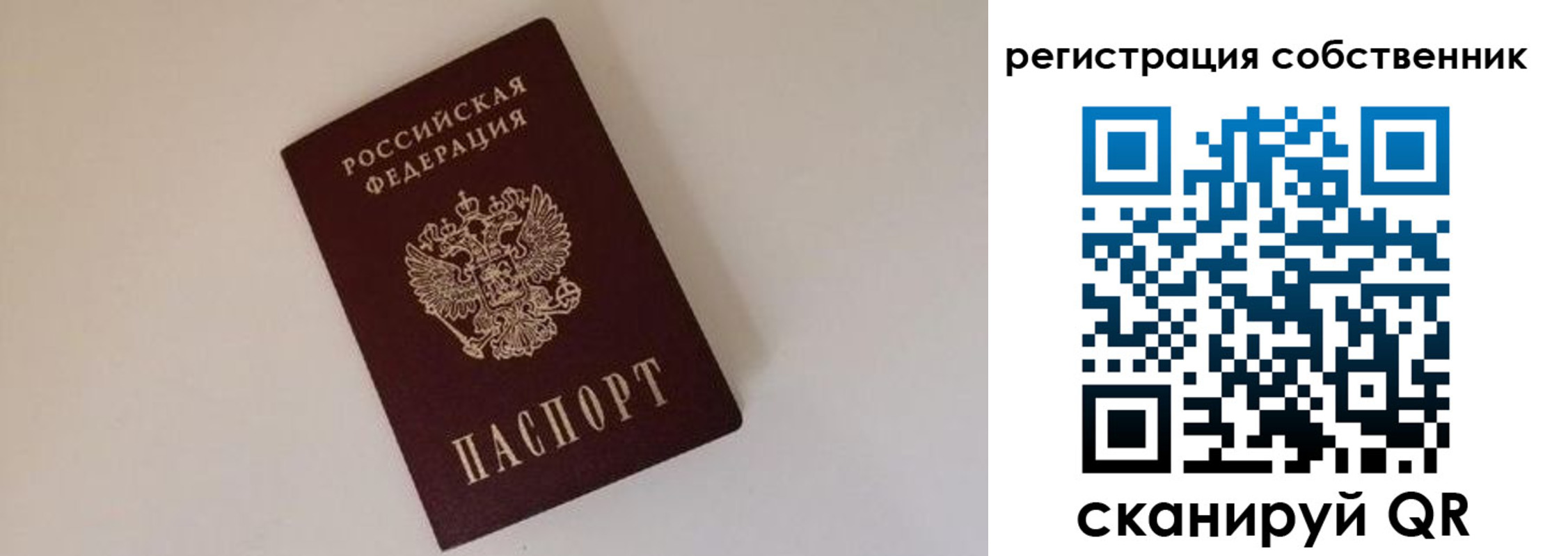 временная регистрация надежно в Куртамыше